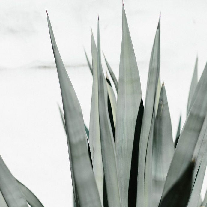 Try These 5 Things if You Have a Hard Time Sleeping Away from Home