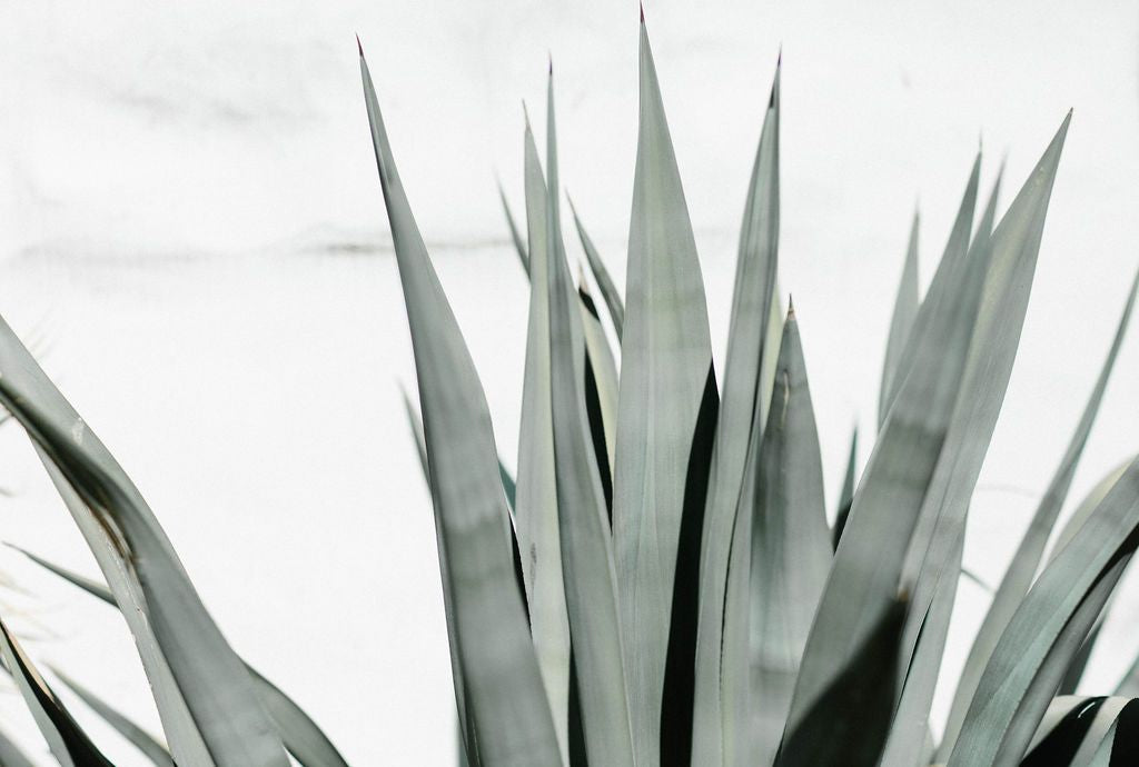 Try These 5 Things if You Have a Hard Time Sleeping Away from Home